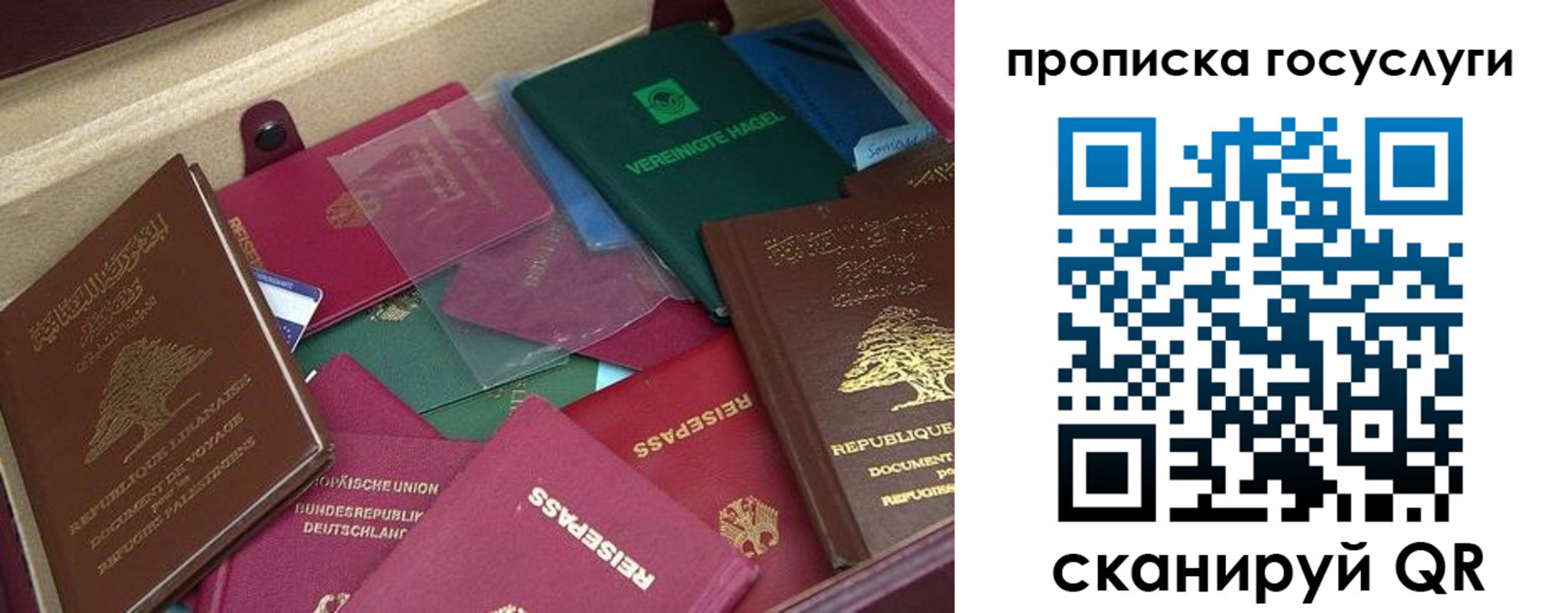 прописка гарантия в Бузулуке
